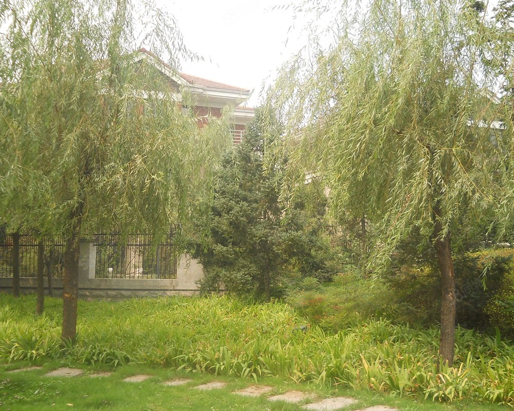 【曲江枫林溪园, 曲江枫林溪园小区详情,房价走势,房源,业主论坛】