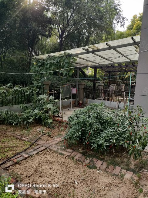 中海国际花园3室2厅1卫98㎡南46.8万