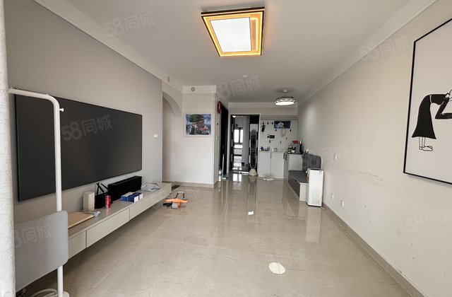 阿尔卡迪亚 江南里 理想城 水城印象 送车位储藏室 免大税