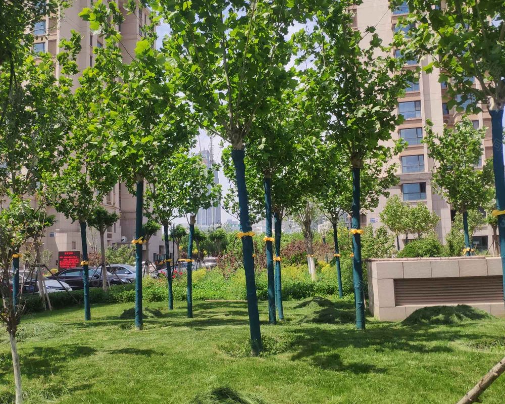 【王顶堤故里, 王顶堤故里小区详情,房价走势,房源,业主论坛】- 天津