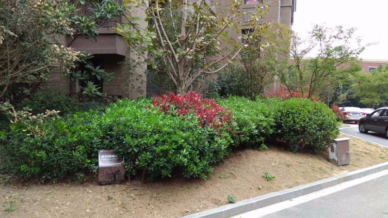 绿地海域苏河源(一期公寓住宅)