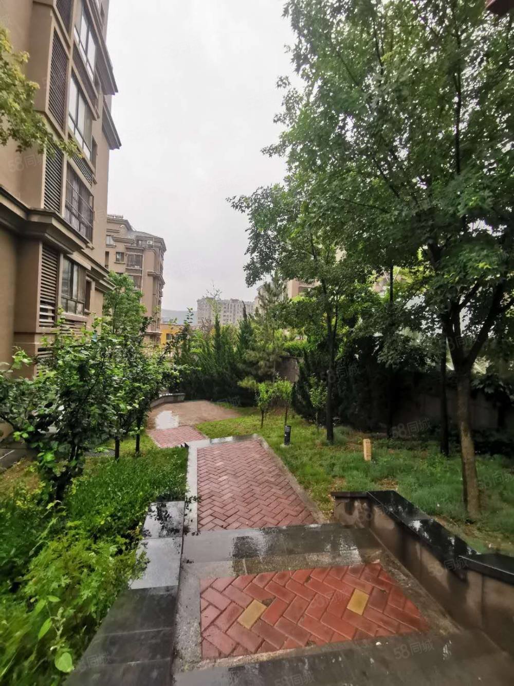 蔚海新天地11楼精装修赠两个阳台西边户全明户型实木家具