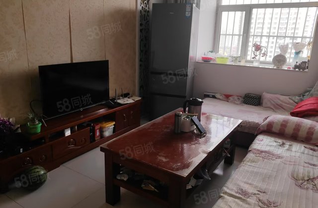看房随时 朝南 板楼 居住密度低 电梯房 居家自住