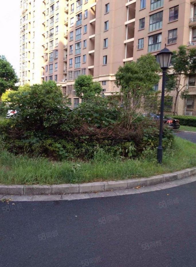 心圆东苑1室1厅1卫53.57㎡南285万