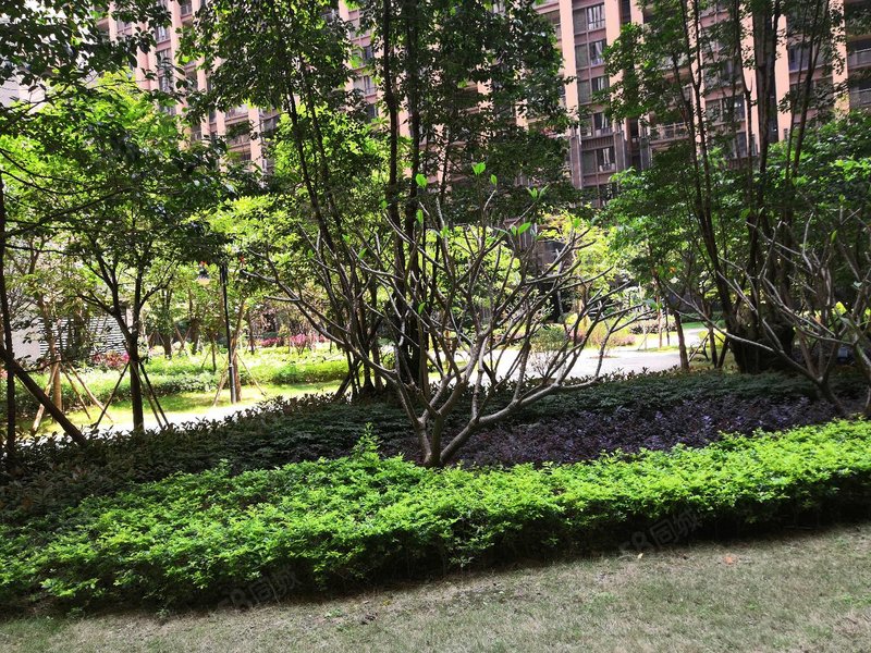 普宁流沙cbd,新华城4房2厅,毗邻星河普宁广场万泰汇御景城