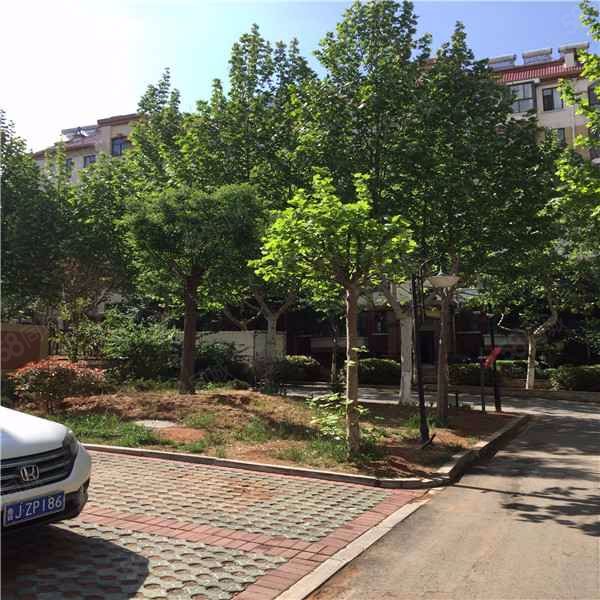 【桃都国际城, 桃都国际城小区详情,房价走势,房源,业主论坛】- 肥城