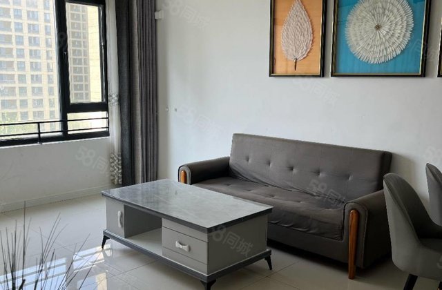 南北通透，全明户型，免大税，带车储，百合新城，南北通透，精装