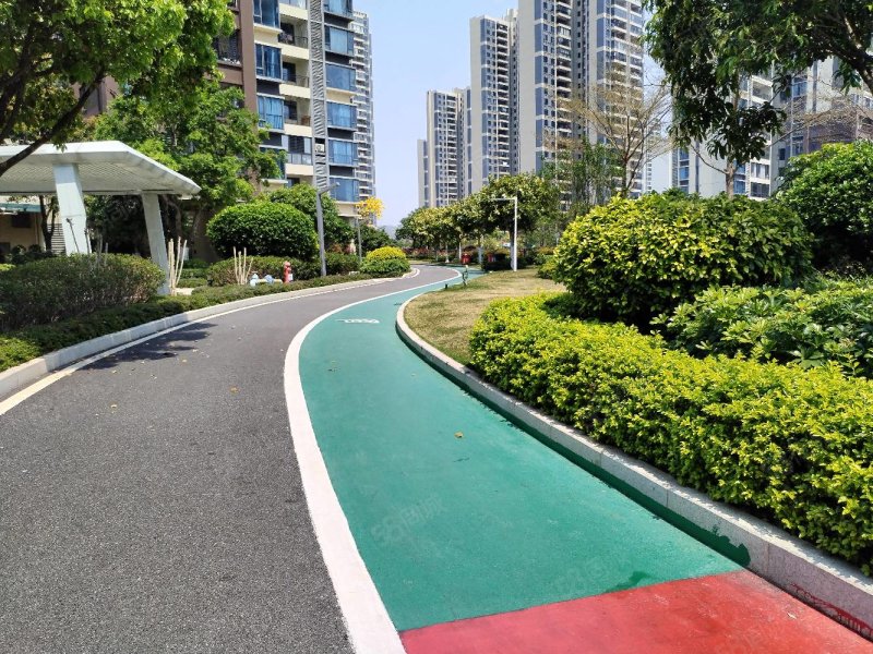 新城之光3室2厅2卫121㎡南北65万