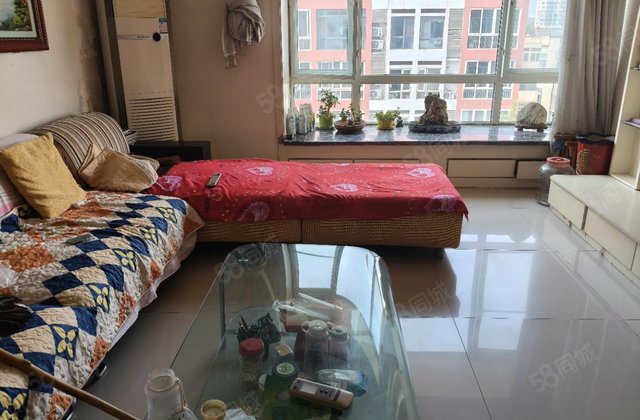 向阳路，中通时代豪园，交运奇苑，中间楼层，精装三室，凤凰台