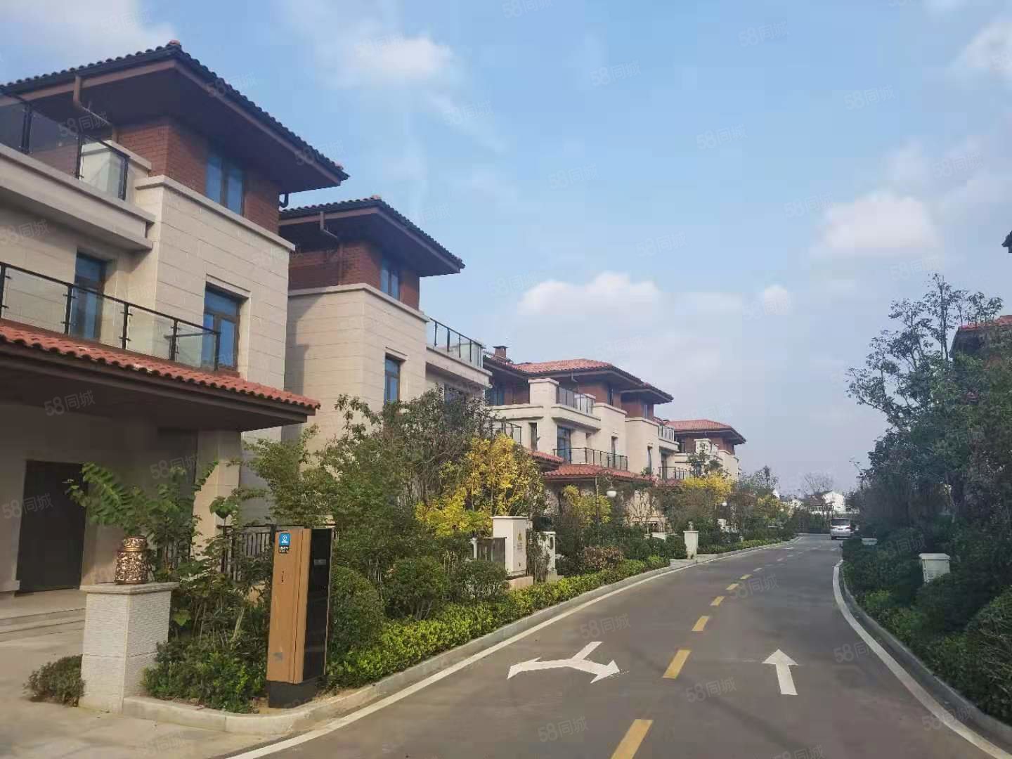 湖光山色 山水别墅 临湖 房主急售 价格好谈,碧桂园湖光山色-南京58