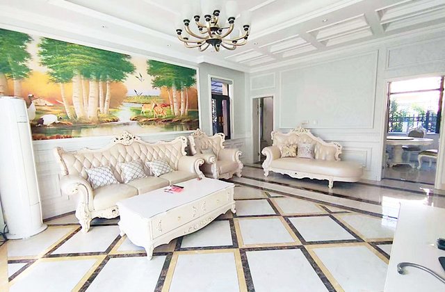 碧桂园(别墅)6室2厅238㎡278万二手房图片