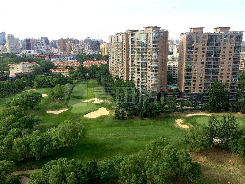 北京Golf公寓4室3厅4卫447.23㎡南北4500万