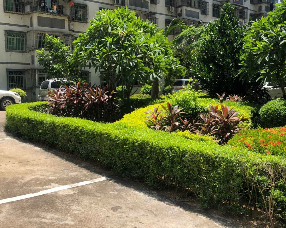 【丽晶花园, 丽晶花园小区详情,房价走势,房源,业主论坛】- 海口58