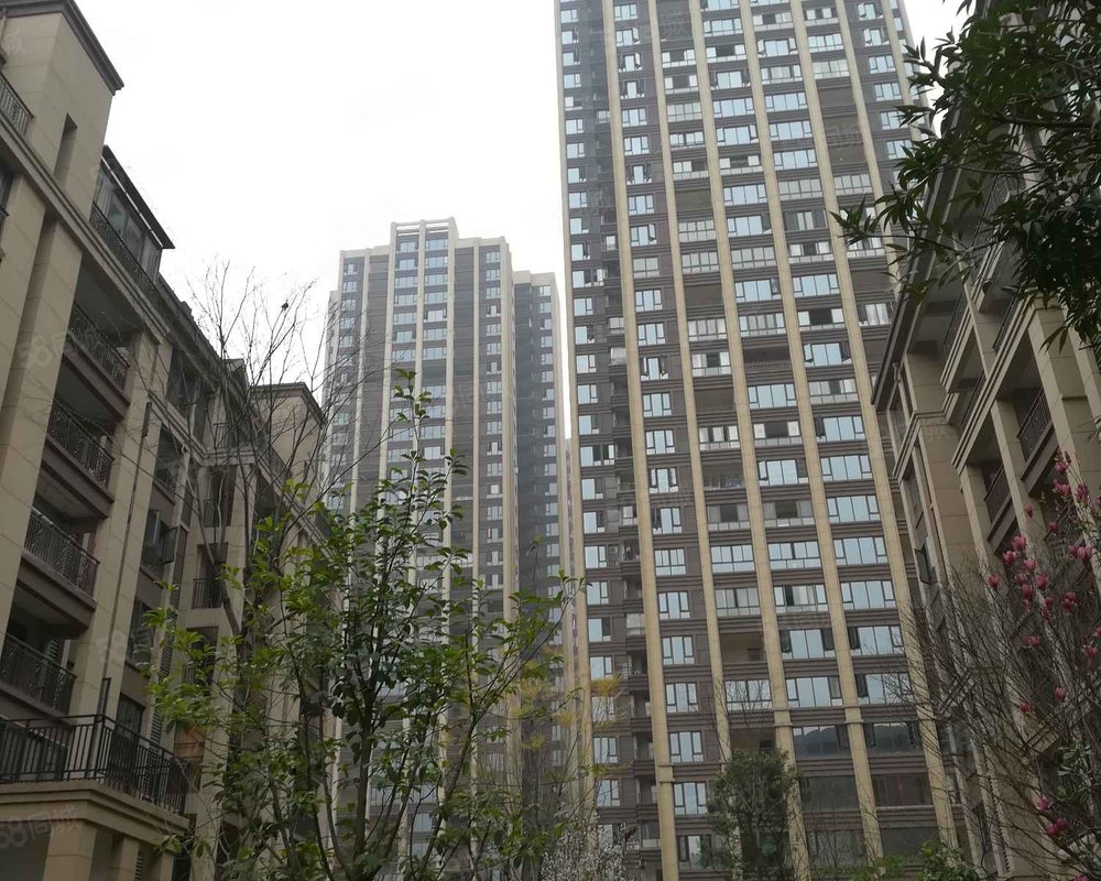 【鸿鸥未来城, 鸿鸥未来城小区详情,房价走势,房源,业主论坛】- 重庆