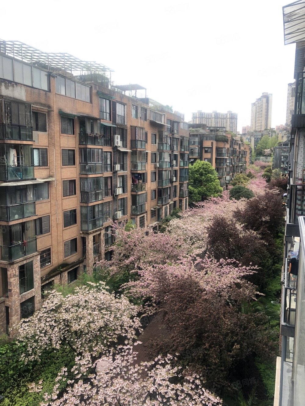 信息>贵阳二手房>观山湖二手房>奥体中心二手房>中天帝景传说(b区)>