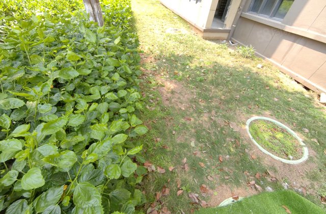 融侨碧桂园铂玥府3室2厅121.99㎡139.9万二手房图片