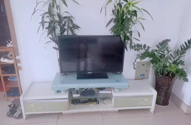 市中心公园旁 明星小区二期 三室好房 送地下室