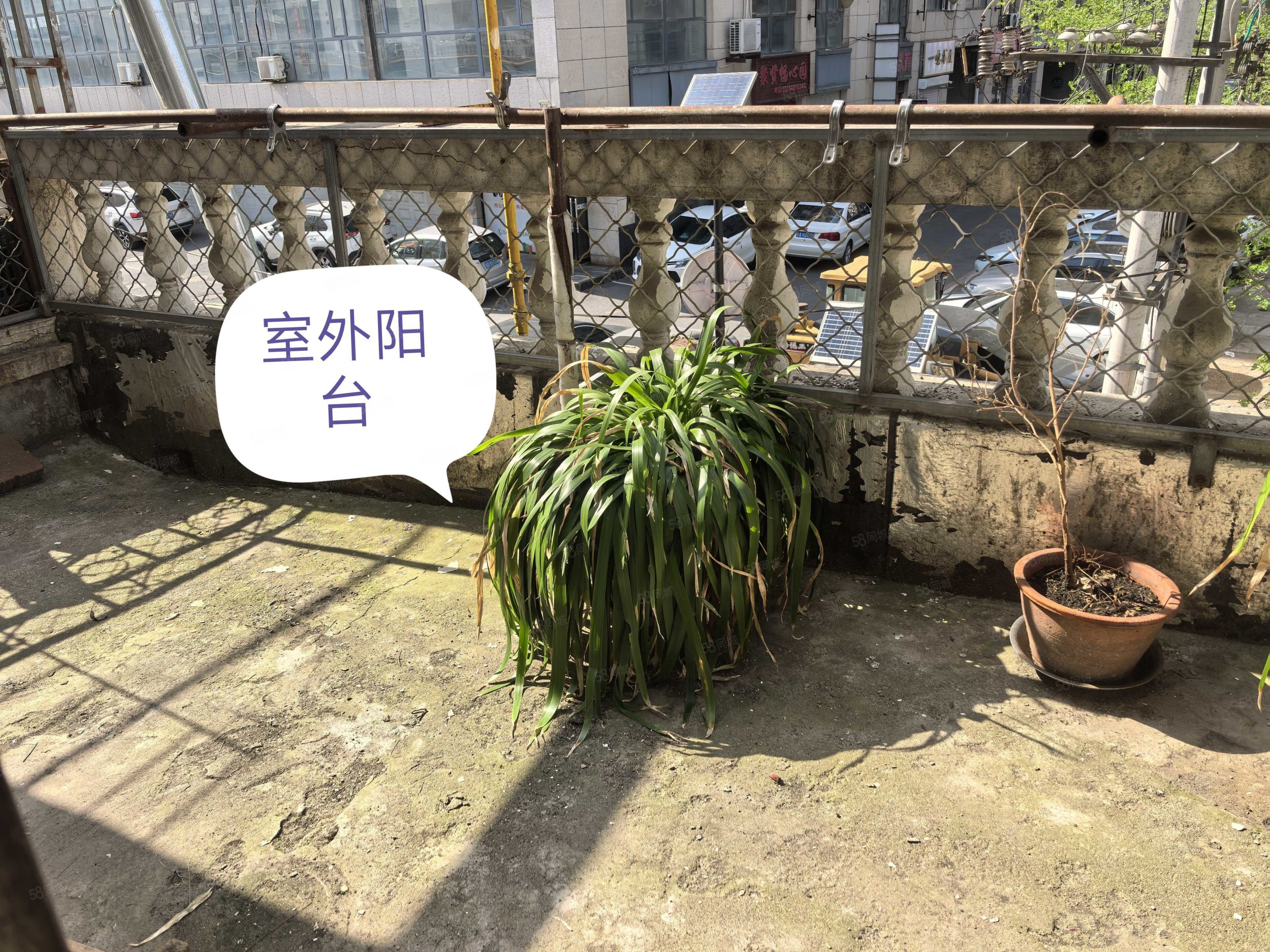 明珠花园2室1厅1卫84㎡南北32万