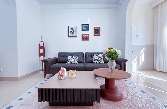 望湖一期   精装修   免大税   带家具家电  湖西文轩