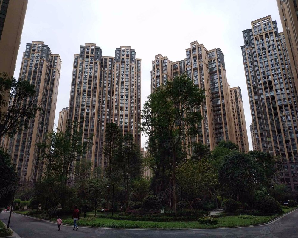 1/46 1/46 实景图户型图