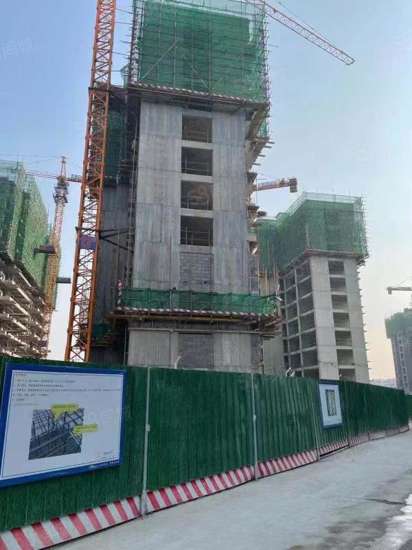 【龙城常青府, 龙城常青府小区详情,房价走势,房源,业主论坛】- 济宁