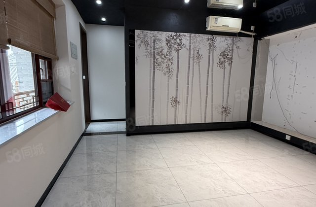 东昌湖边 精装修古楼别墅 东昌  小户型 免大税可按揭