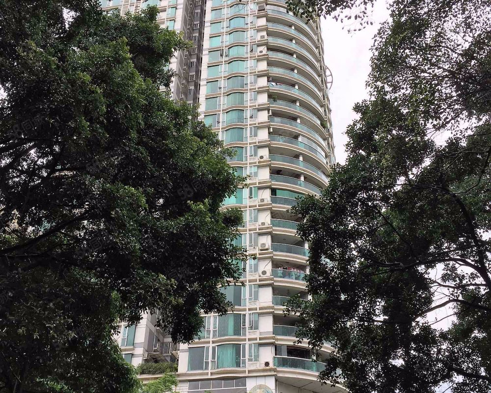 【花城湾畔, 花城湾畔小区详情,房价走势,房源,业主论坛】- 广州58