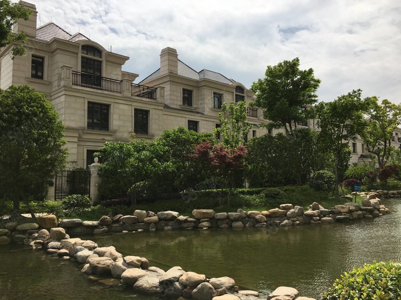 龙山庄园,房东移民杜家急售,无税费二期法式别墅,精装修带电