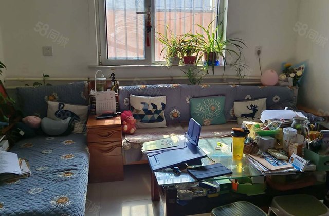 眼科医院附近，朝阳花园，柳泉花园，中间楼层，东边户，送储藏室