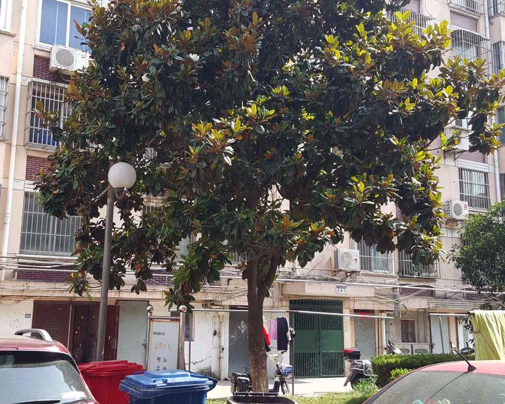 丰华园(南区)小区详情,房价走势,房源,业主论坛】- 昆山58同城