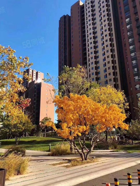 北京东燕郊 嘉都国际 首付八万 近地铁 配套齐全 外地人可买