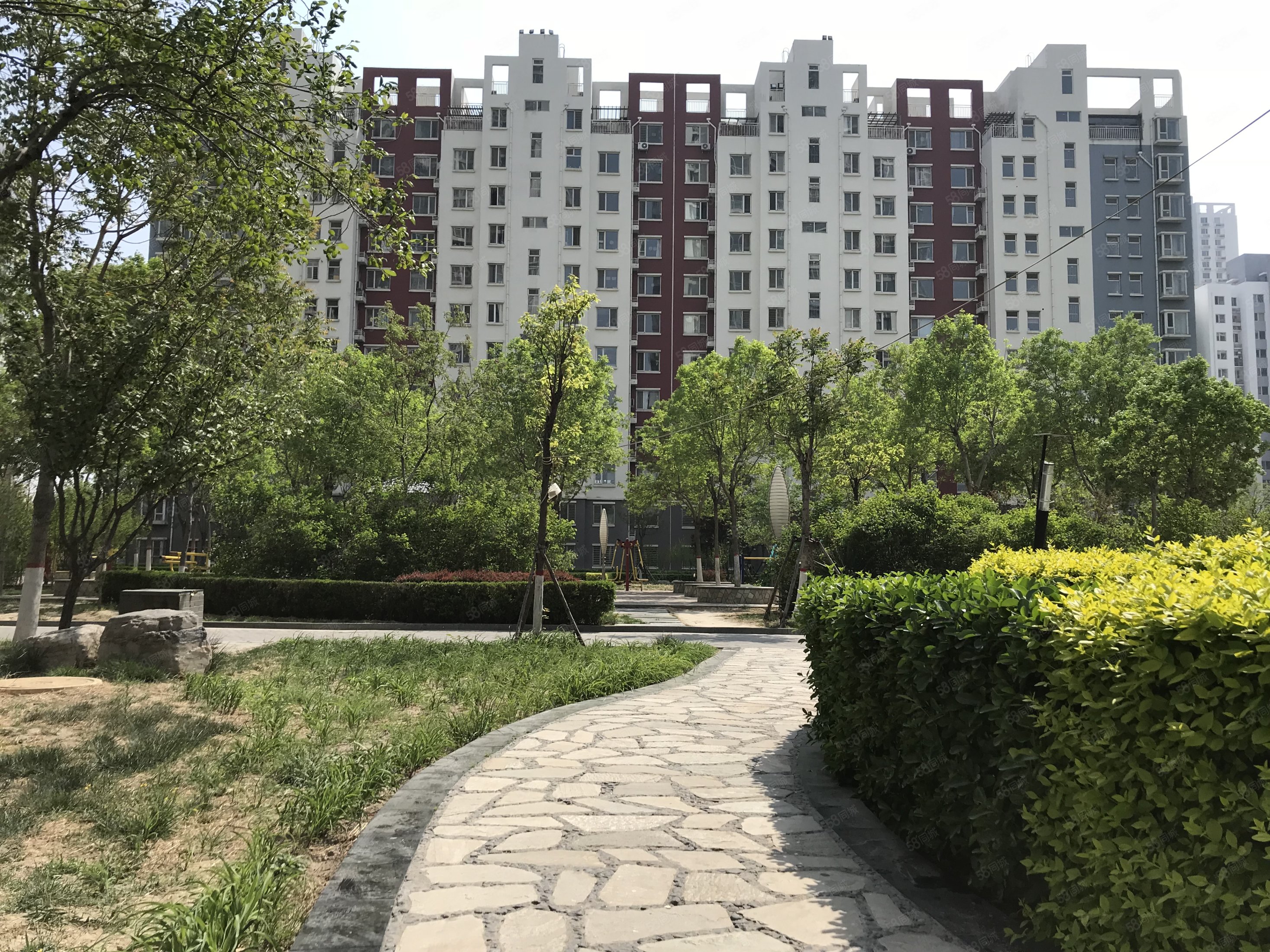 好楼层明厨明卫大三居双卫落地窗大客厅丽景蓝湾a区