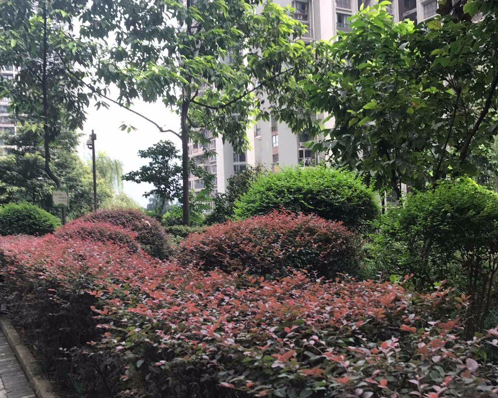 【东海岸, 东海岸小区详情,房价走势,房源,业主论坛】- 重庆58同城