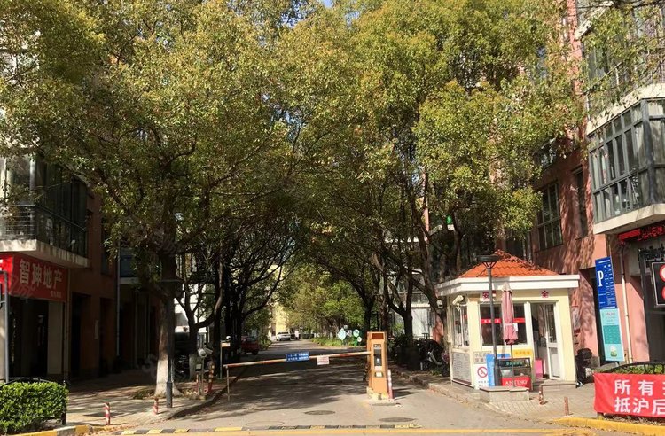 安亭新镇风苑(别墅)