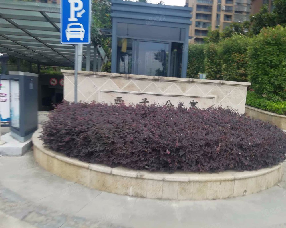 西子公寓南区小区详情,房价走势,房源,业主论坛】- 诸暨58同城
