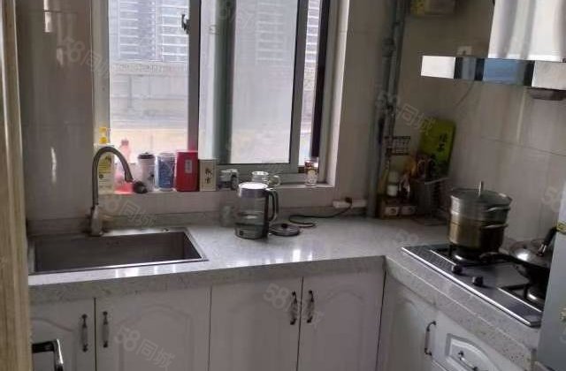 诚售！中央丽都 公园附近  中间楼层  人车分流 看房方便