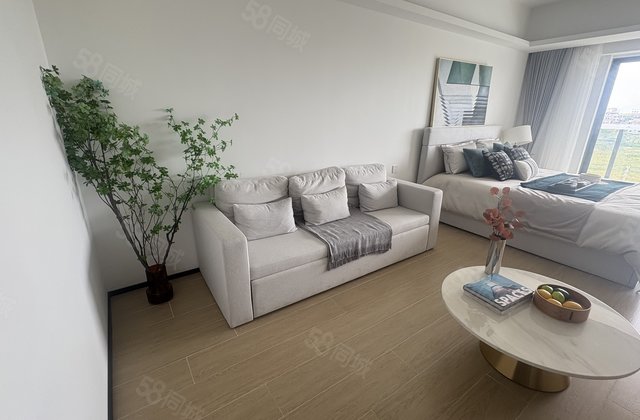 东方海鸥湾1室0厅42㎡50万二手房图片