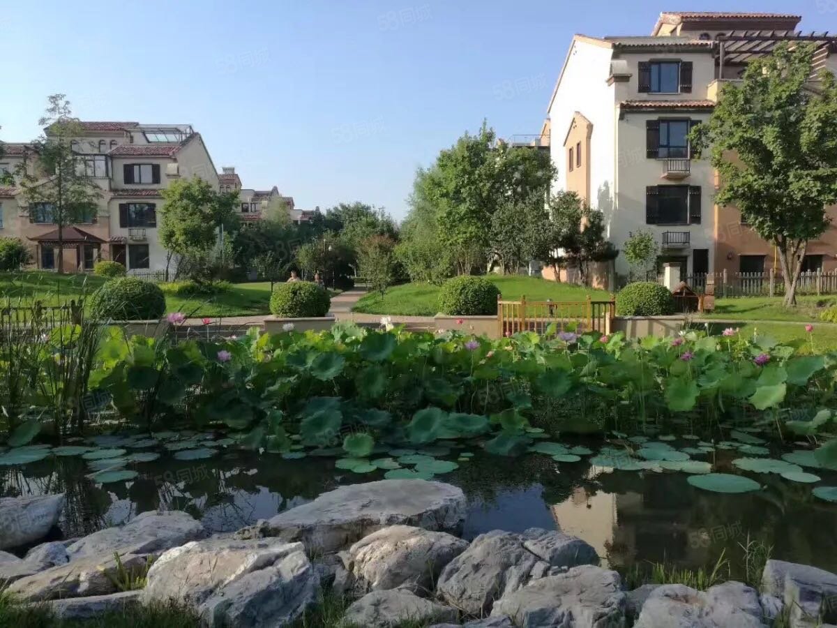 思家准房孔雀城五期别墅总价170万视野开阔