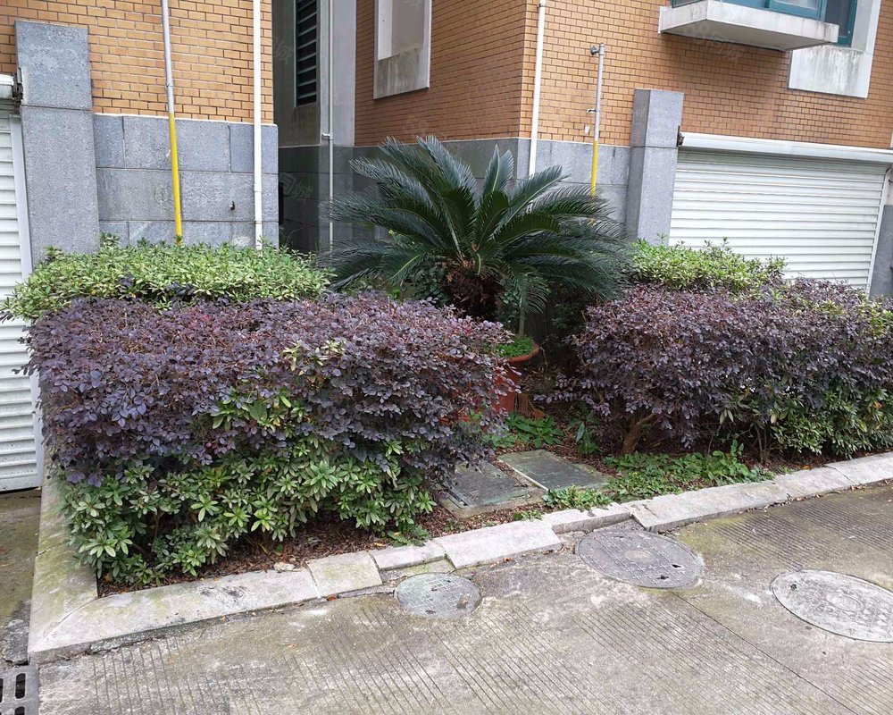 【泰和苑, 泰和苑小区详情,房价走势,房源,业主论坛】- 象山58同城