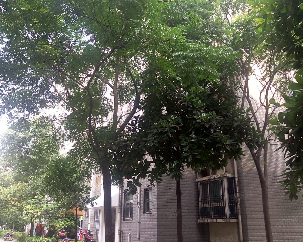 【青菱小区, 青菱小区小区详情,房价走势,房源,业主论坛】- 武汉58