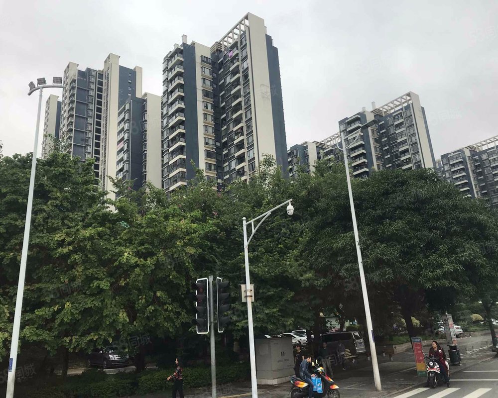 民发大观天下