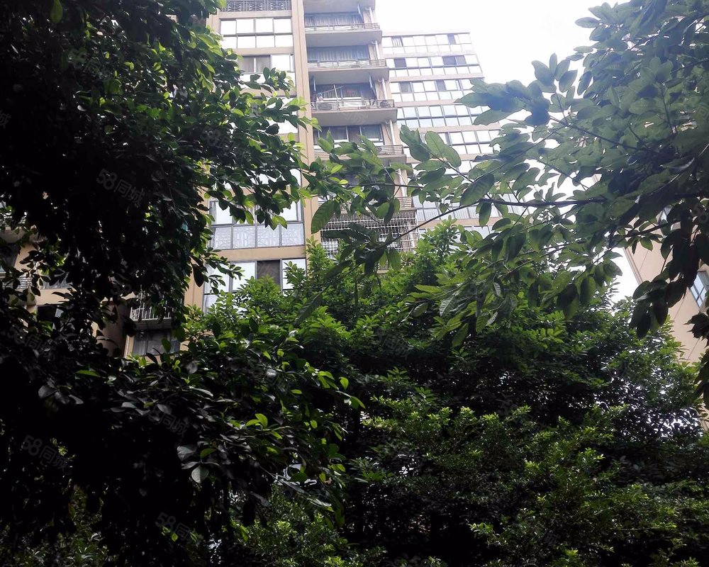 【卡碧蓝湾, 卡碧蓝湾小区详情,房价走势,房源,业主论坛】- 成都58