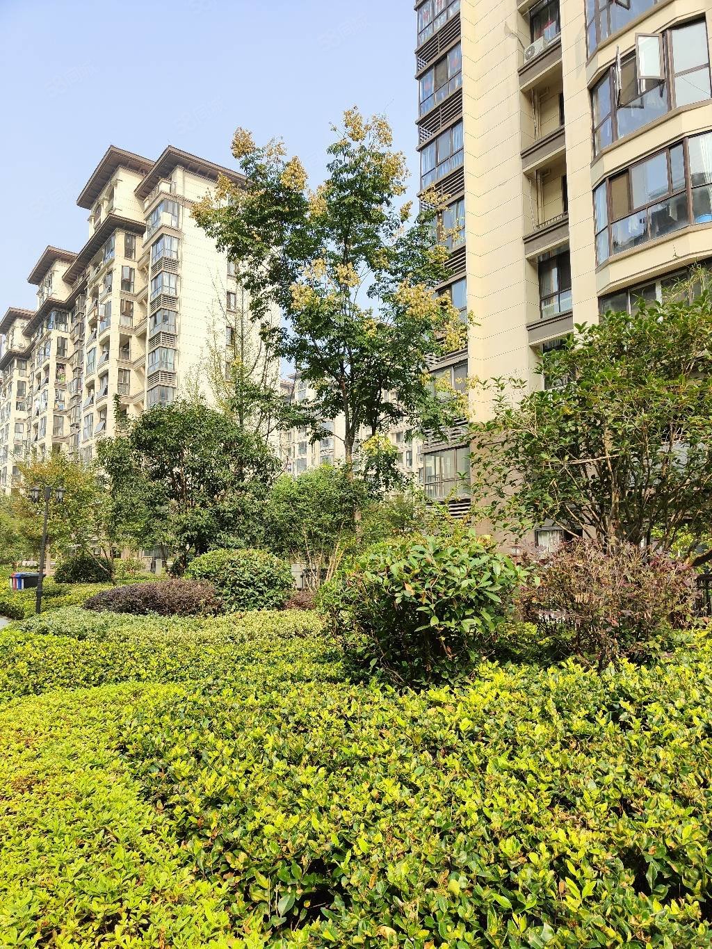 降价15万急卖电梯洋房银泰百货海心沙广场翰林壹号公馆