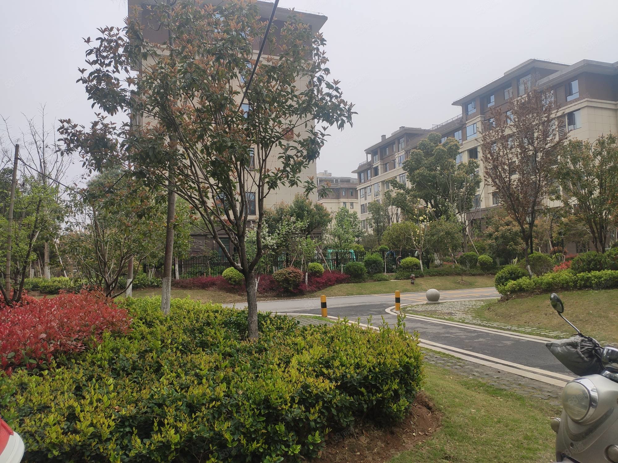 骧龙国际景秀园3室2厅2卫125㎡南北118万