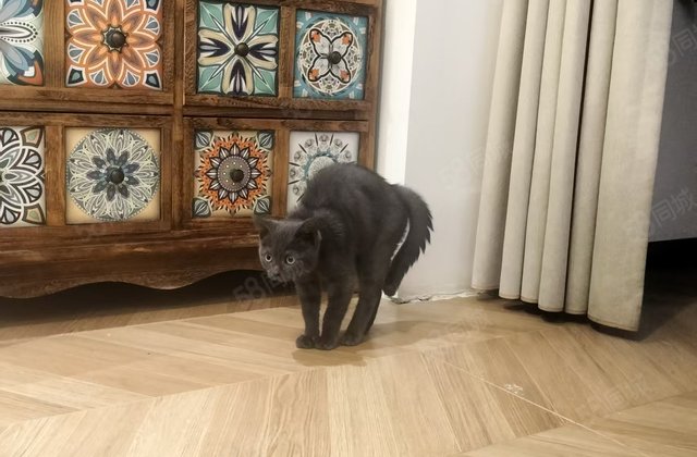 星光文轩花园3室1厅1卫