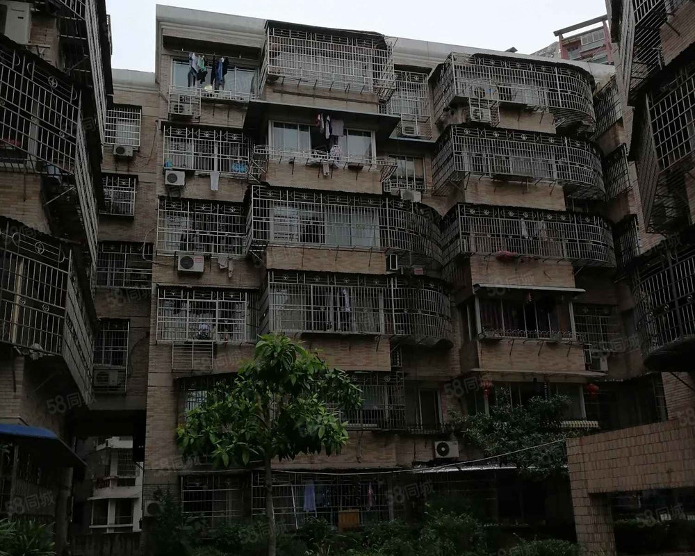 【阳光花园, 阳光花园小区详情,房价走势,房源,业主论坛】- 温州58