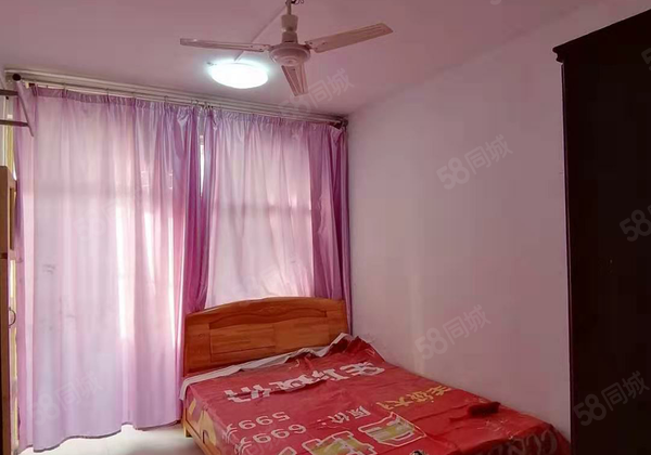 文轩  房 低总价 单位家属院 外国语八中老一中 欲购从速