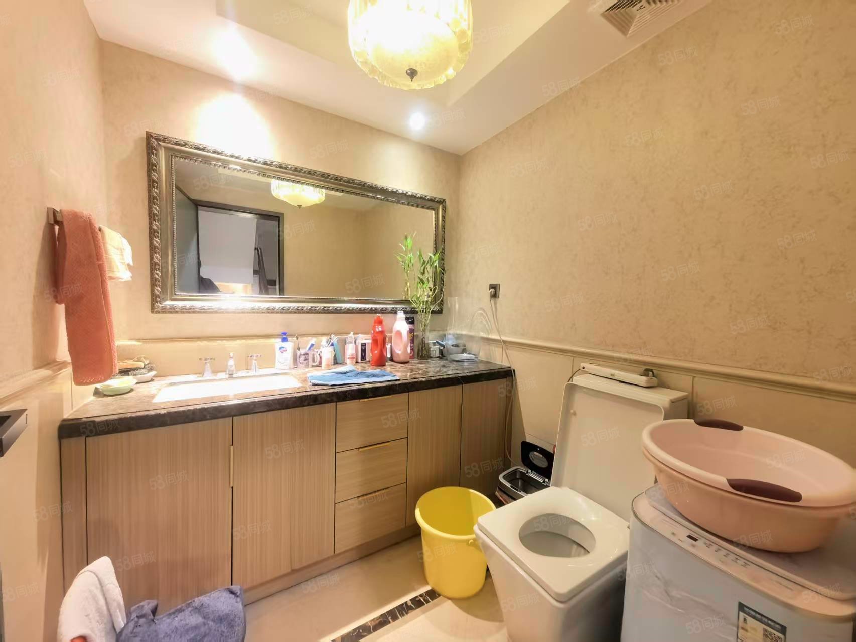 天鵝堡4室3廳4衛(wèi)247.03㎡南北830萬