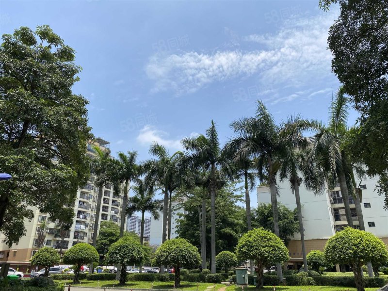 【10图】金湾花城4房 电梯 保养好 白沙路 诚意置换,金湾花城-南宁58