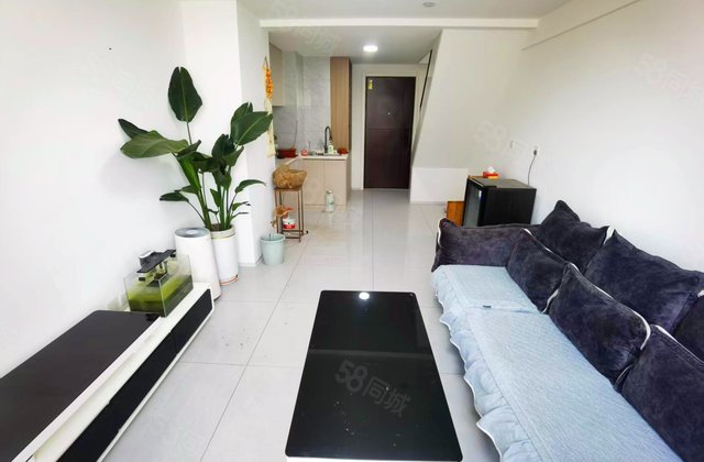 龙湖新壹城1室1厅37.01㎡35.5万二手房图片